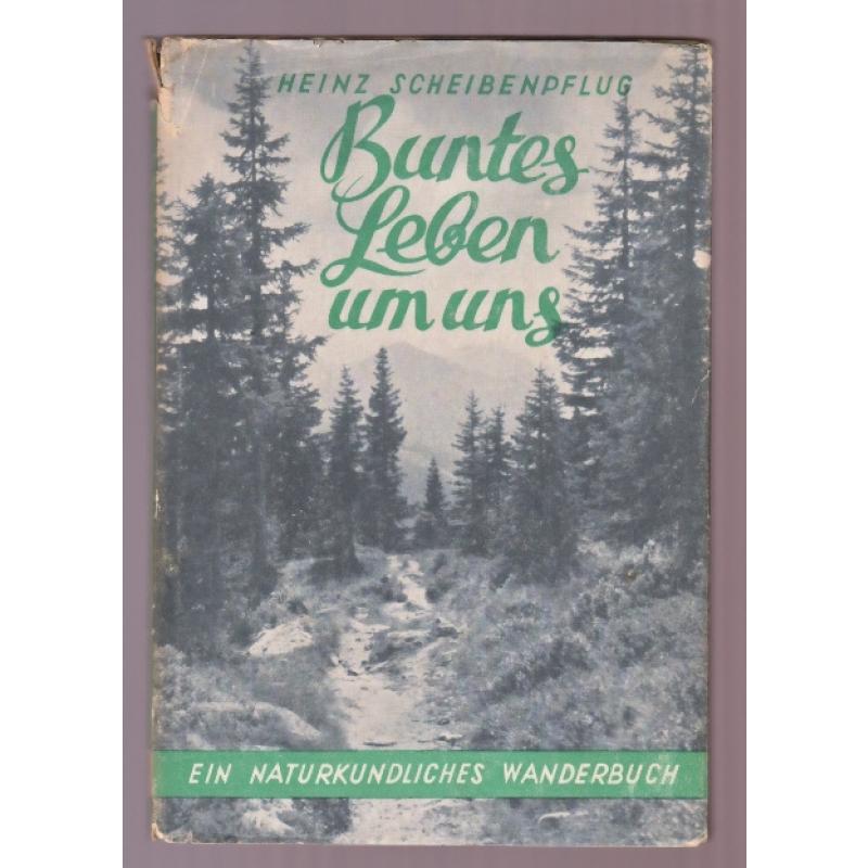 Buntes Leben um uns - Ein naturkundliches Wanderbuch 1947 - Scheibenpflug, Heinz