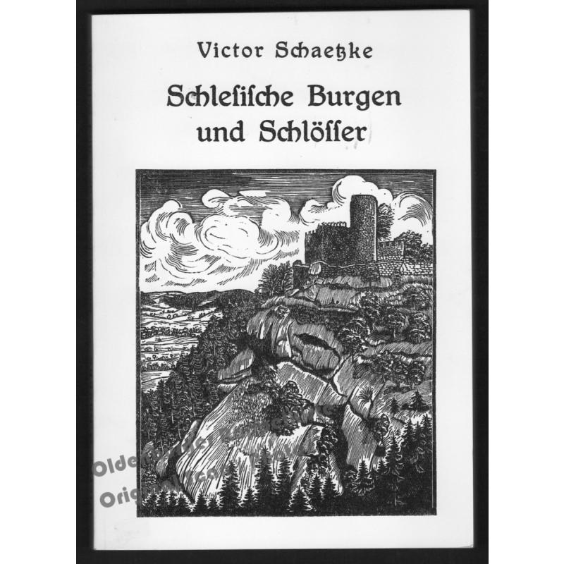 Schlesische Burgen und Schlösser: Iser-, Riesen-, Waldenburgergebirge und Vorberge 