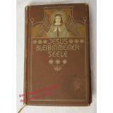 Jesus, bleib in meiner Seele! Ein Buch für Erstkommunikanten  - Schwester M. Paula