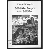 Schlesische Burgen und Schlösser: Iser-, Riesen-, Waldenburgergebirge und Vorberge 